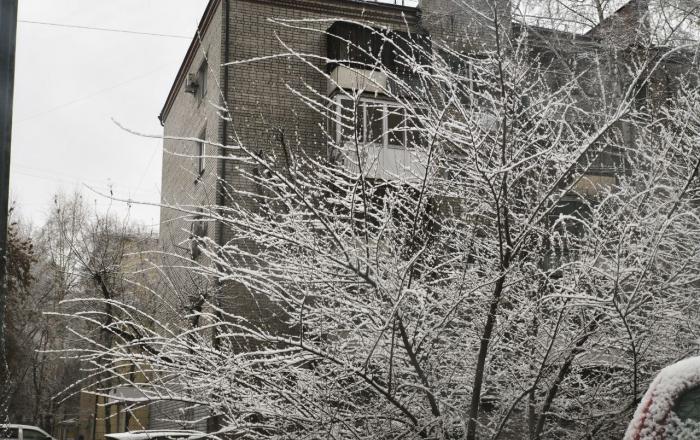 Фото Евгении Ноговициной