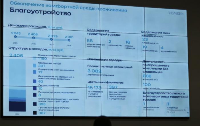 Фото Евгении Ноговициной